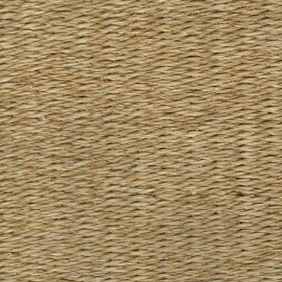 Aaron